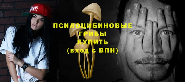 гидропоника Арсеньев