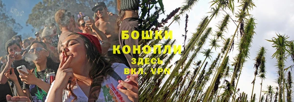 гидропоника Арсеньев